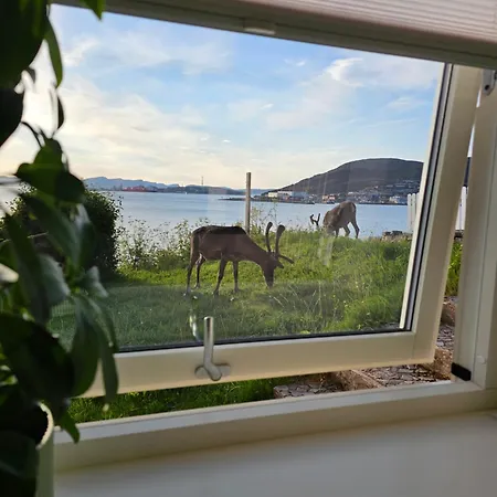 Bright And Modern Apartment With Beautiful View Hammerfest Exterior photo