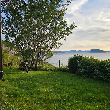 Bright And Modern Apartment With Beautiful View Hammerfest Exterior photo