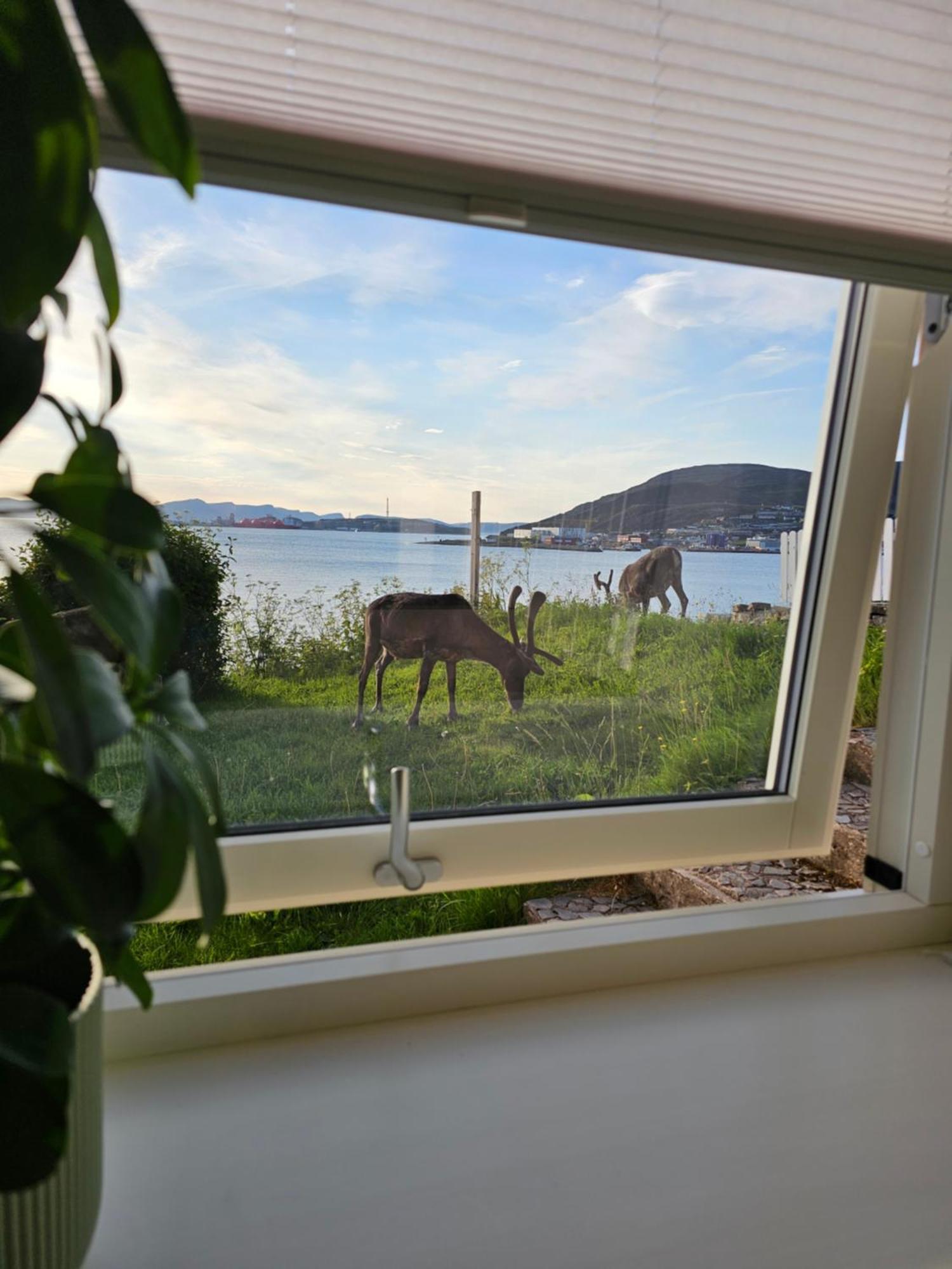 Bright And Modern With Beautiful View
