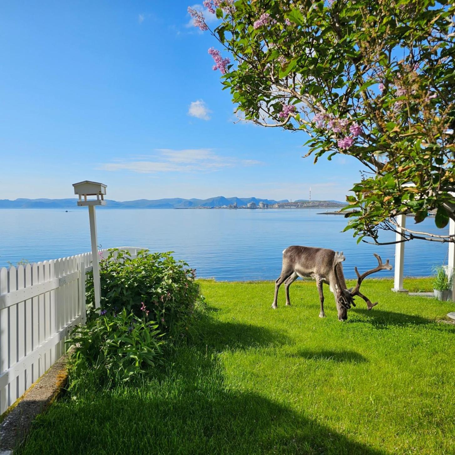Bright And Modern With Beautiful View Leilighet *