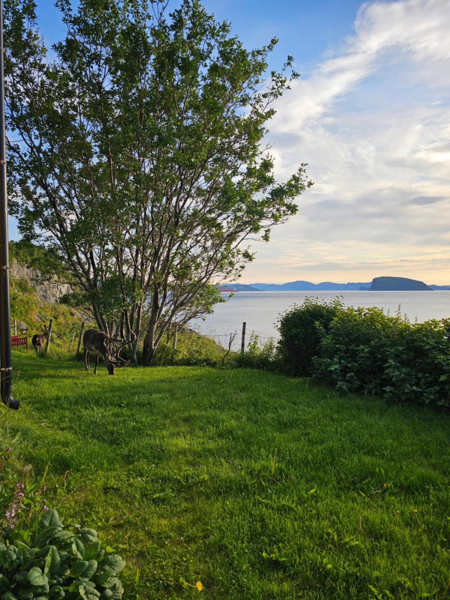 Leilighet Bright And Modern With Beautiful View