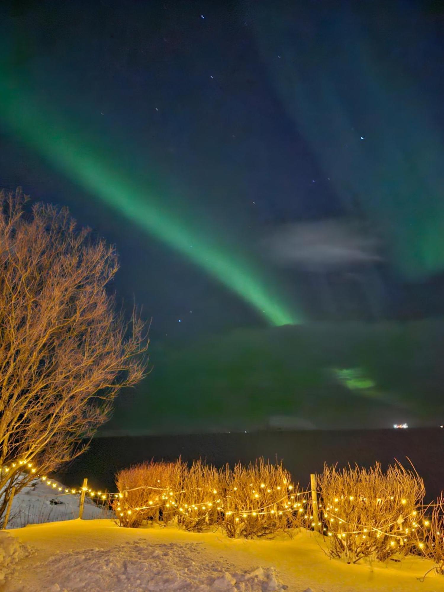 Bright And Modern With Beautiful View Leilighet Hammerfest